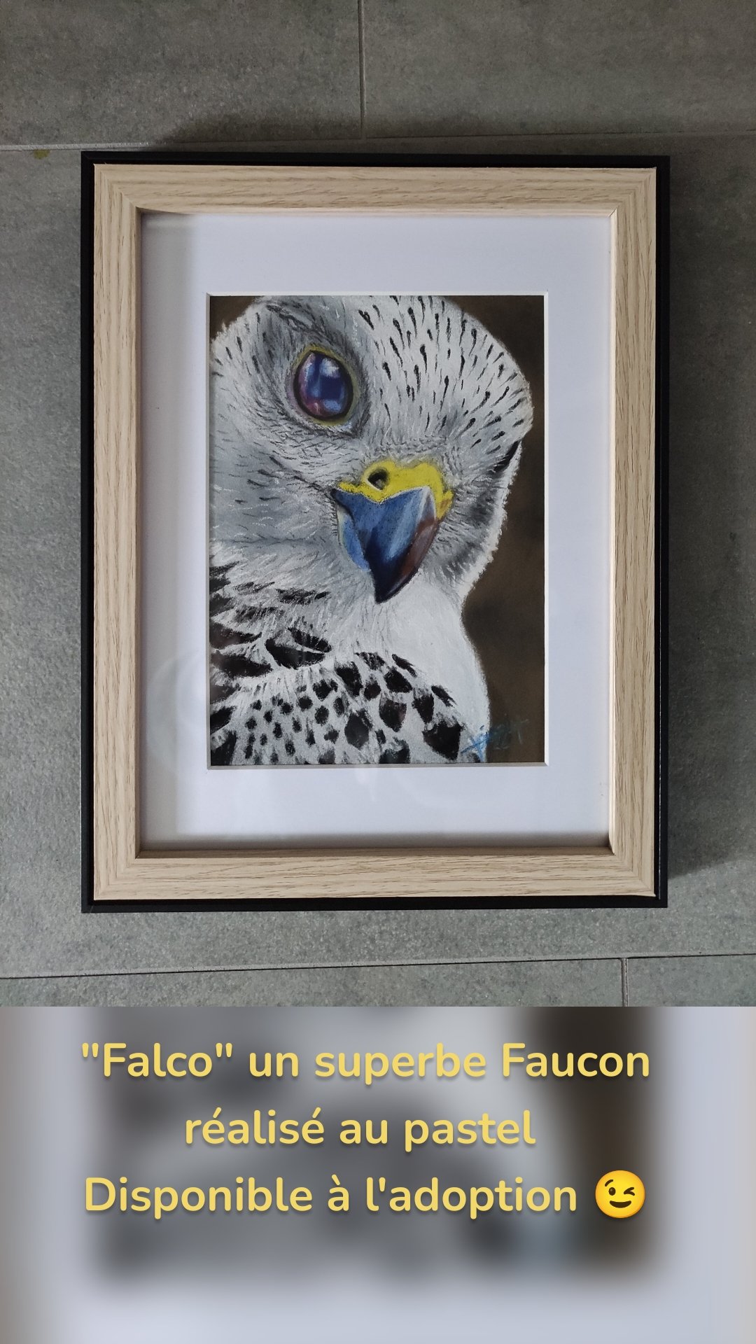 "Falco" un superbe Faucon réalisé au pastel 
Disponible à l'adoption 😉