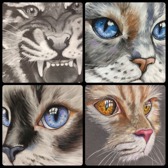 Œuvres Animalières